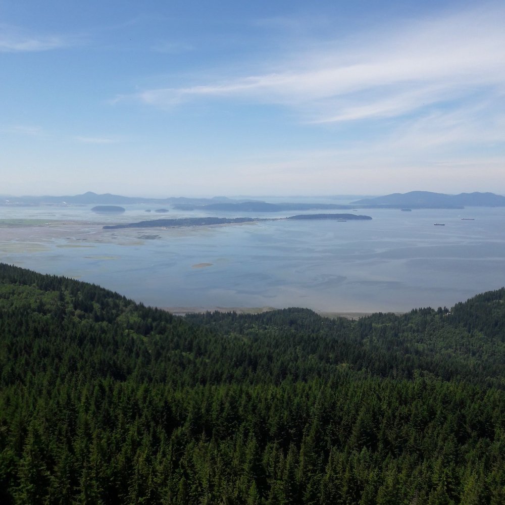 Oyster Dome Trail - Hiking Near Me - Bow, Washington Oyster Dome Trail - Hiking Near Me - Bow, Washington