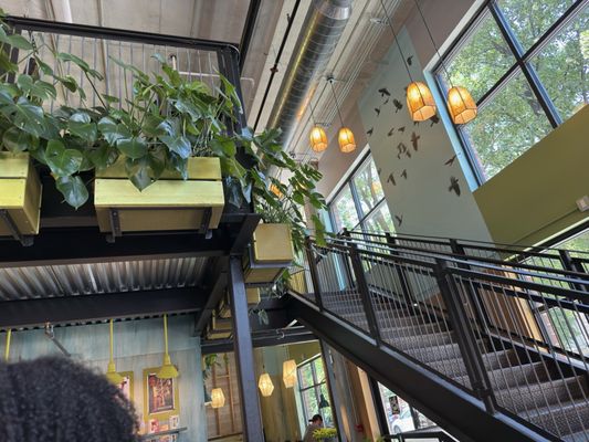 Colectivo Coffee Ravenswood by null