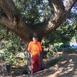 Magic Growers - The grounds at Magic Growers Nursery are spectacular! Especially the old growth California Oak Trees that are hundreds of years old.