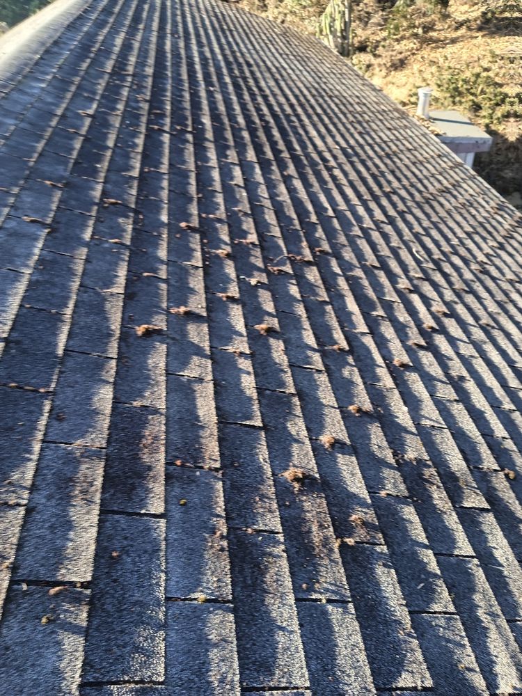 Slide of Rick's Roof & Gutter Cleaning Service