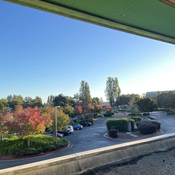 Rachel N Thurber, NMT, CMT - View of free parking lot from the office window. - Massage Therapy Near Me - Alameda, California Rachel N Thurber, NMT, CMT - View of free parking lot from the office window. - Massage Therapy Near Me - Alameda, California