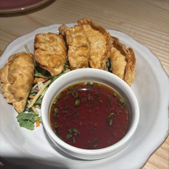 Shiki - chicken gyoza - Sushi Bars Near Me - Omaha, Nebraska