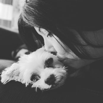 Peaceful Pets: In-home Euthanasia Service - Pet Hospice Near Me Peaceful Pets: In-home Euthanasia Service - Pet Hospice Near Me