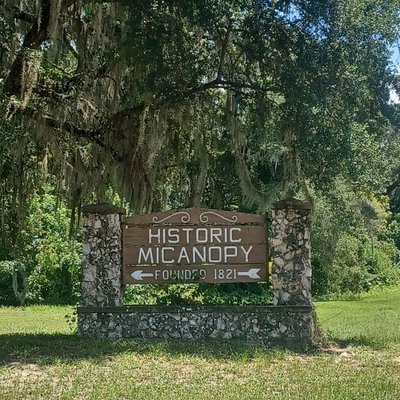 Micanopy by null