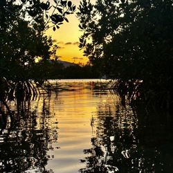 Blue Planet Kayak Eco-Tours - Little sunset view coming out of the mangrove