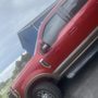 Brayo Tints & Wraps