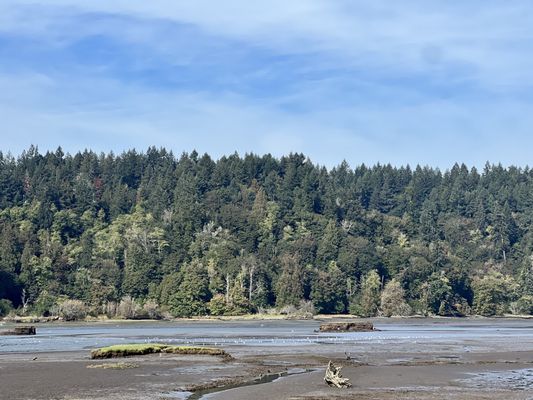Billy Frank Jr. Nisqually National Wildlife Refuge by null