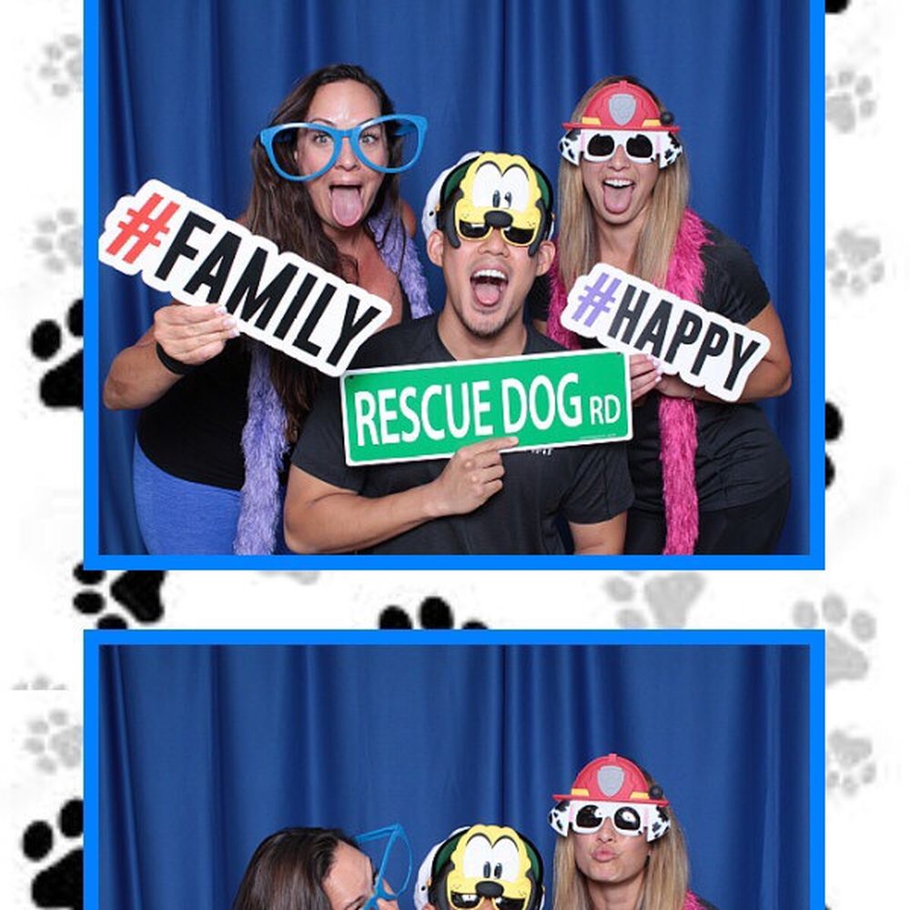 Citybay Photobooths - Dog Days At VMWare Palo Alto ! - Photo Booth Rentals Near Me - Hayward, California