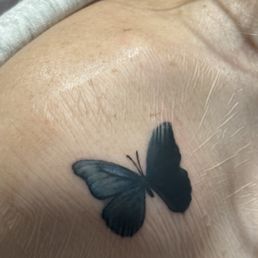 Blue Morpho Blue Morpho