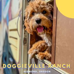 Dog Photography by Trudy Gardner