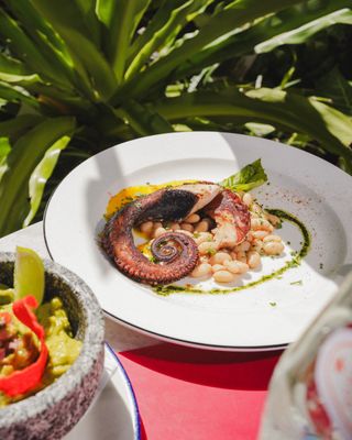 Meet Dalia - Mediterranean restaurant in Miami Beach by null