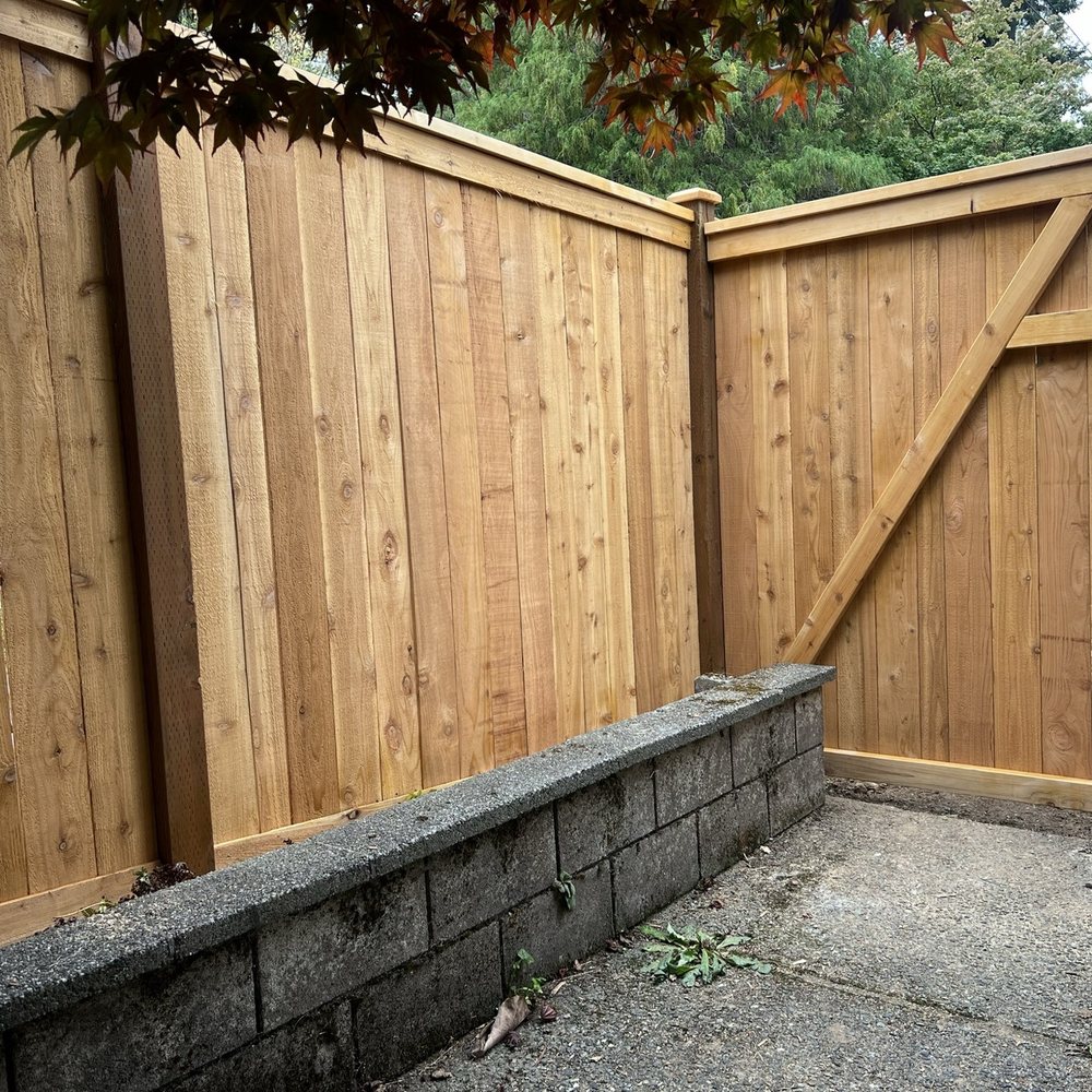 206 Fencing - Fences & Gates Near Me