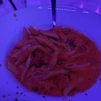 Cafe Ibiza - Penne alla Vodka - Seafood Near Me - Fort Lauderdale, Florida Cafe Ibiza - Penne alla Vodka - Seafood Near Me - Fort Lauderdale, Florida