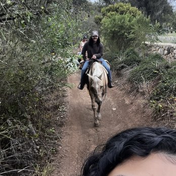 Los Padres Outfitters - Trail riding - Horseback Riding Near Me - Carpinteria, California Los Padres Outfitters - Trail riding - Horseback Riding Near Me - Carpinteria, California