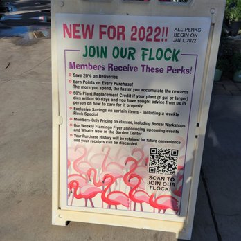 Flamingo Road Nursery - Nurseries & Gardening Near Me - Davie, Florida Flamingo Road Nursery - Nurseries & Gardening Near Me - Davie, Florida
