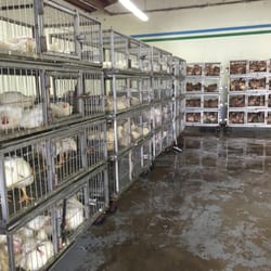 ZemZem Poultry & Lives Stock Inc