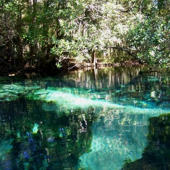 Aardvarks Florida Kayak - Gum Slough - Rafting/Kayaking Near Me Aardvarks Florida Kayak - Gum Slough - Rafting/Kayaking Near Me