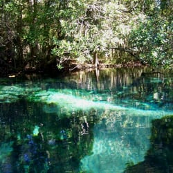Aardvarks Florida Kayak - Gum Slough
