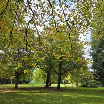 Volunteer Park - Parks Near Me - Seattle, Washington