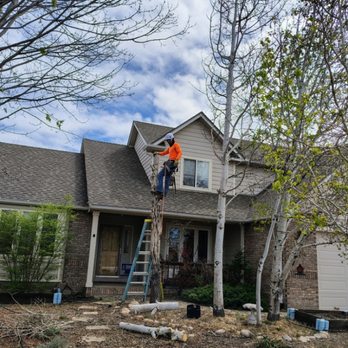 Sives Solution - Tree Services Near Me - commerce city , Colorado Sives Solution - Tree Services Near Me - commerce city , Colorado