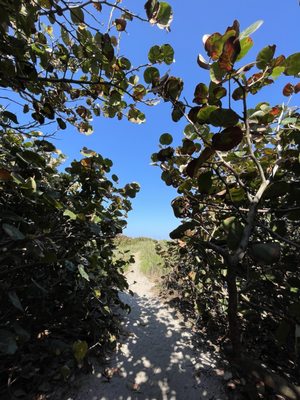 Marriott Hutchinson Island Beach Resort, Golf & Marina by null