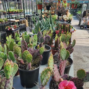 Alice’s Garden - Nurseries & Gardening Near Me - Indianapolis, Indiana