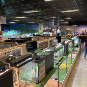 Idaho Reptile Zoo - One angle of all the enclosures and tanks - Zoos Near Me - Boise, Idaho Idaho Reptile Zoo - One angle of all the enclosures and tanks - Zoos Near Me - Boise, Idaho