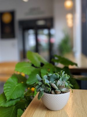 gusto! - healthy bowls & wraps by null