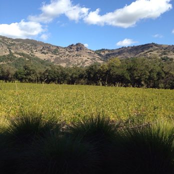 Stag's Leap Wine Cellars - View from the patio - Wine Tours Near Me - Napa, California