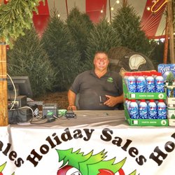 Holiday Sales - Lot's of beautiful trees in different colors