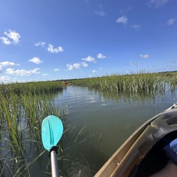 Saltmarsh Paddle Tours - Exploring the creeks - Rafting/Kayaking Near Me - Hilton Head Island, South Carolina Saltmarsh Paddle Tours - Exploring the creeks - Rafting/Kayaking Near Me - Hilton Head Island, South Carolina