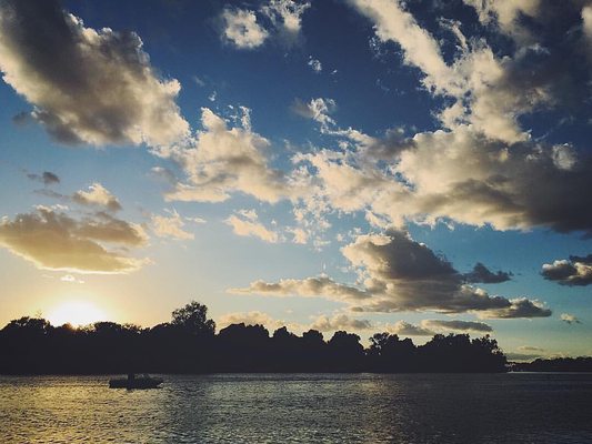 Tiscornia Park by null