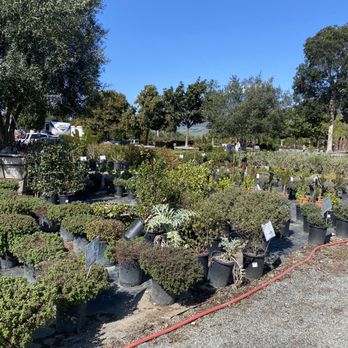 Moon Valley Nurseries - Nurseries & Gardening Near Me - Gilroy, California Moon Valley Nurseries - Nurseries & Gardening Near Me - Gilroy, California
