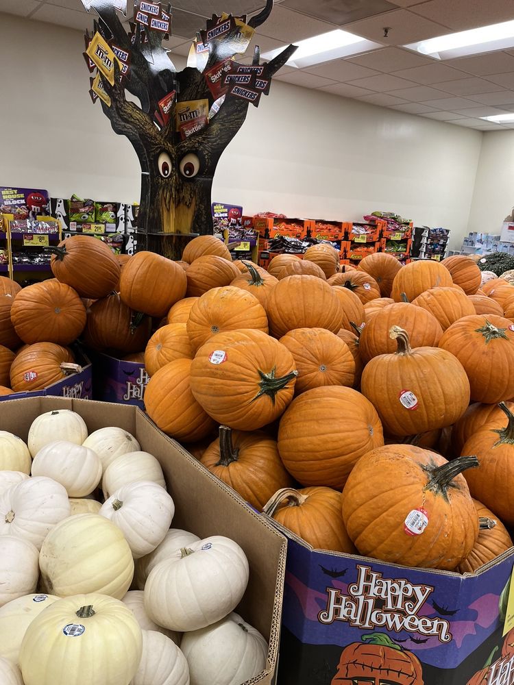 ALBERTSONS Updated November 2024 415 Photos & 93 Reviews 1608