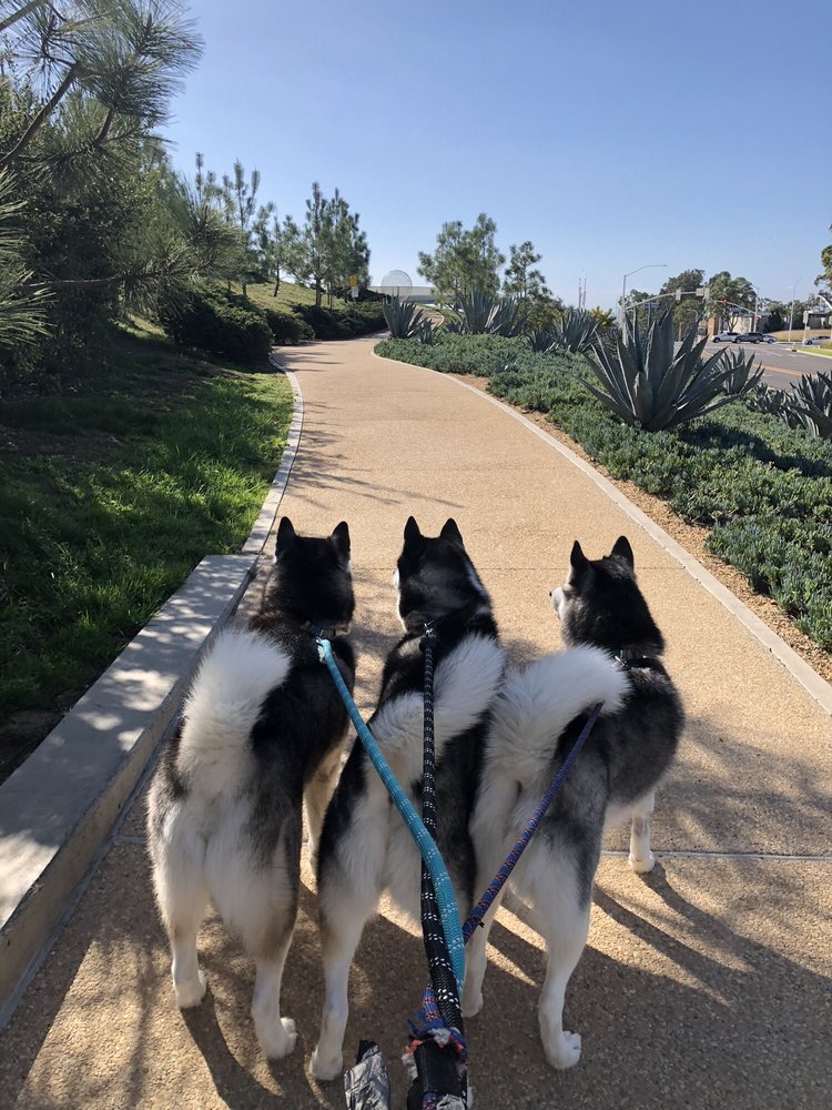 NEWPORT BEACH DOG PARK 126 Photos & 93 Reviews 1521 Avocado Ave