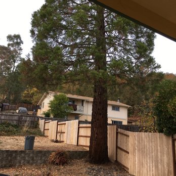 Lake County Tree Service - Tree Services Near Me - Kelseyville, California