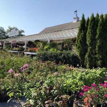Pantaleons Farm - Nurseries & Gardening Near Me - Setauket- East Setauket, New York Pantaleons Farm - Nurseries & Gardening Near Me - Setauket- East Setauket, New York