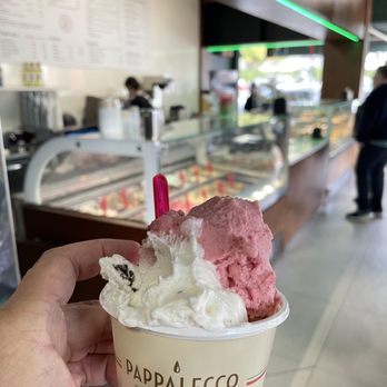 Pappalecco - Strawberry & vanilla Choco chip - Sandwiches Near Me - San Diego, California Pappalecco - Strawberry & vanilla Choco chip - Sandwiches Near Me - San Diego, California