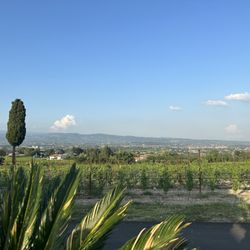 EL Carnicero - View from  entrance in restaurant