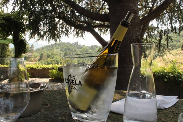 Quinta de Covela by null