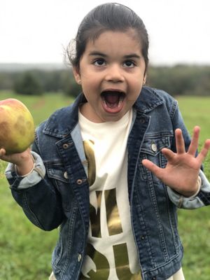 Apple Hill Farm by null