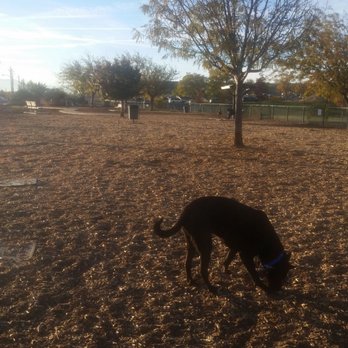 Taylor Ranch Dog Park - Dog Parks Near Me - Albuquerque, New Mexico