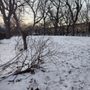 Photo of Fulton Park