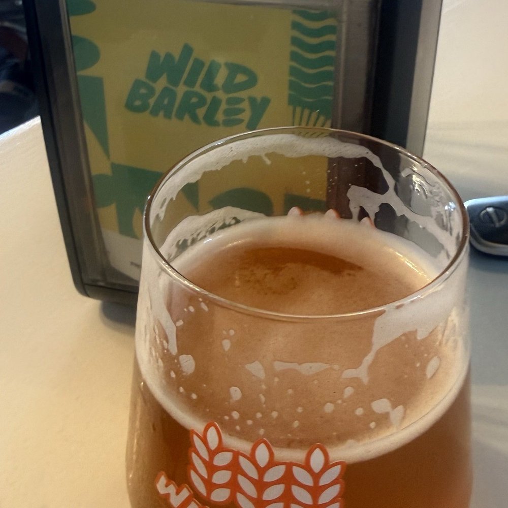 Wild Barley Kitchen and Brewery - Brewpubs Near Me - San Antonio, Texas Wild Barley Kitchen and Brewery - Brewpubs Near Me - San Antonio, Texas