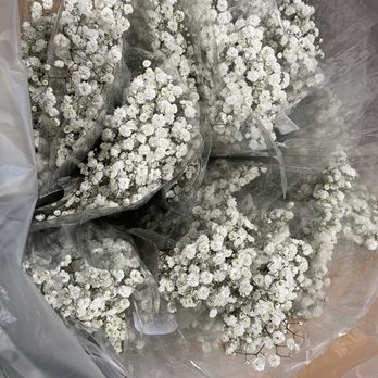 Trader Joe's - Baby breath - Grocery Near Me - Campbell, California Trader Joe's - Baby breath - Grocery Near Me - Campbell, California