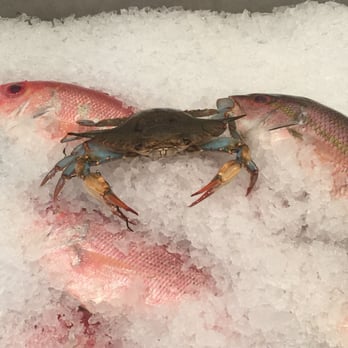 Faidley's Seafood - Live blue crab! - Seafood Markets Near Me - Baltimore, Maryland Faidley's Seafood - Live blue crab! - Seafood Markets Near Me - Baltimore, Maryland