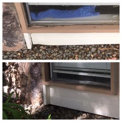 Bobby Evans - Dry rot repair