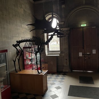 Trinity College Dublin - Fossil - Colleges & Universities Near Me - Dublin, D Trinity College Dublin - Fossil - Colleges & Universities Near Me - Dublin, D