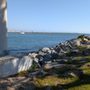 Photo of Alamitos Park