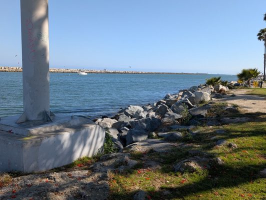 Alamitos Park by null